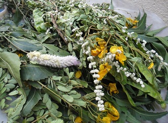 Avarampoo(Pongal special Flowers)
