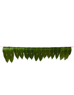 Pooja Flowers - Mango Leaves String – 3ft Length