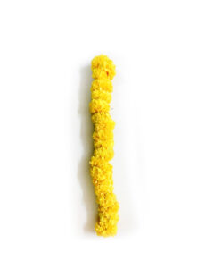 Pooja Flowers - Marigold Yellow Flower String (Gende Ka Phool)