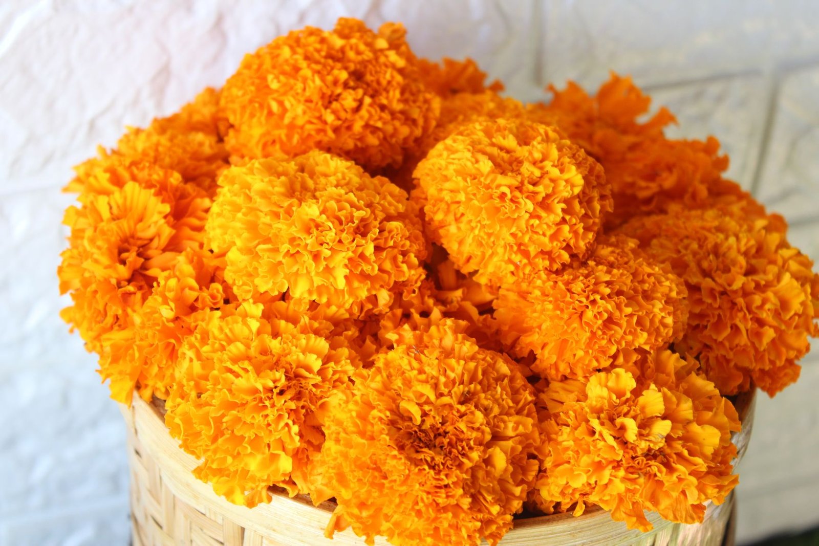 Marigold Orange Flower (Gende Ka Phool) - 250gms