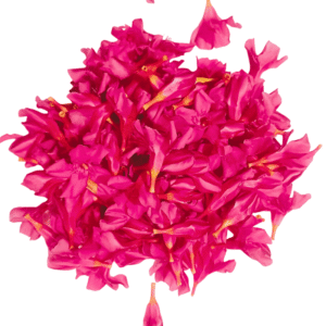 Oleander Pink Flower - 250gms