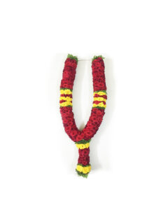 Pooja Flowers - Apple Rose Garland – 2ft Length