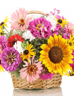 Flower Bouquet- Basket Color Riot Bouquets