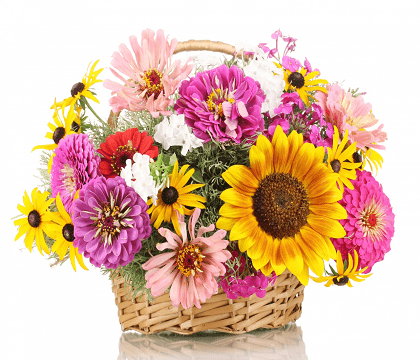 Basket Color Riot Bouquets