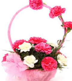 Flower Bouquet- Carnation Basket Bouquets