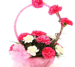 Flower Bouquet- Carnation Basket Bouquets
