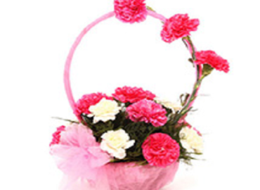 Carnation Basket Bouquets