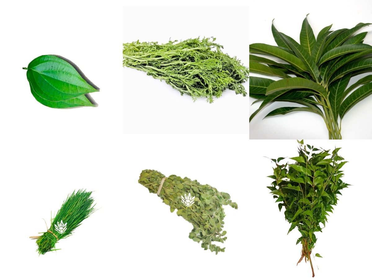 Mangala Mahalakshmi Blessing Pack - GetFlowersDaily Mangala Mahalakshmi Blessing Pack - GetFlowersDaily