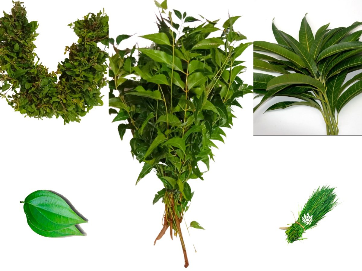 Sri Lakshmi Pooja Blessings Package - GetFlowersDaily Sri Lakshmi Pooja Blessings Package - GetFlowersDaily