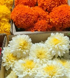 Onam Flower Package