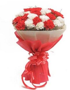 Red And White Carnations Bouquets