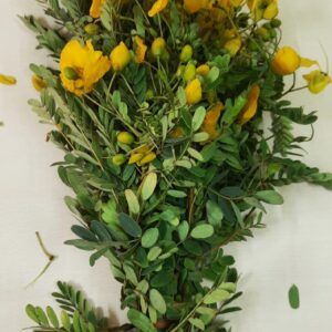 Avarampoo (Pongal special Flowers)
