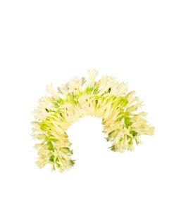 Pooja Flowers - Tuberose (Rajanigandha) String