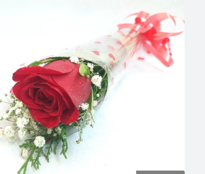 Flower Bouquet- Single Rose with gypse