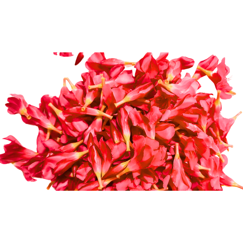 Pooja Flower - Red Oleander Loose - 250gms Pooja Flower - Red Oleander Loose - 250gms