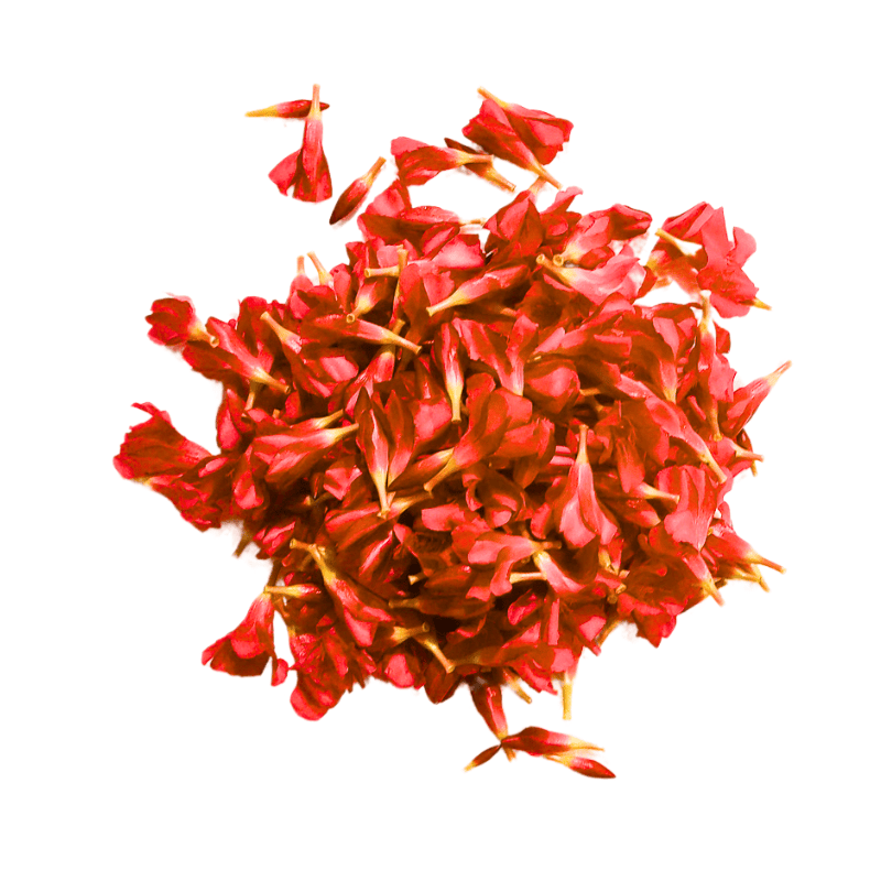 Pooja Flower - Red Oleander Loose - 250gms