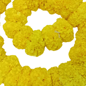 GetFlowersDaily - Marigold Yellow String 120cm