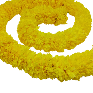 GetFlowersDaily - Plain Yellow Samanthi String - 120cm