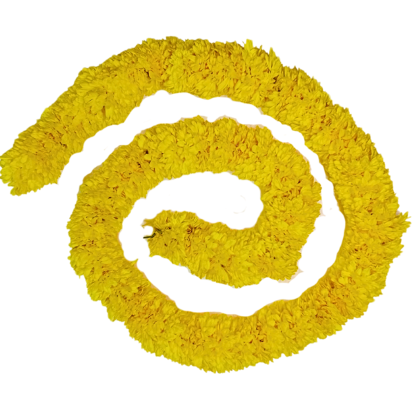 Yellow Chrysanthemum Needle Strings - 120cm