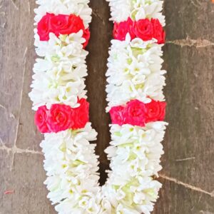 Tuberose With Red Boarder - GetFlowersDaily