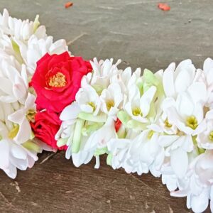 Tuberose With Red Boarder - GetFlowersDaily