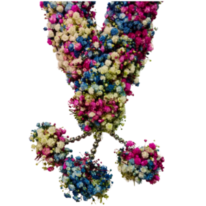 Temple Garland - Gypsy Multi Color Garland - 1.5ft