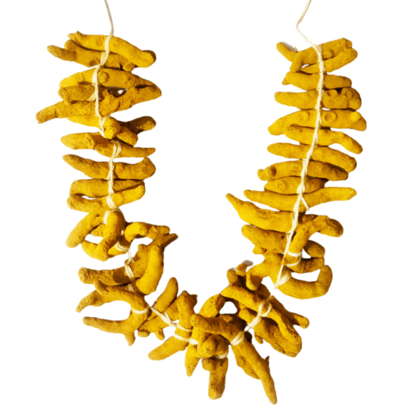 Turmeric Sticks Garland - 2ft