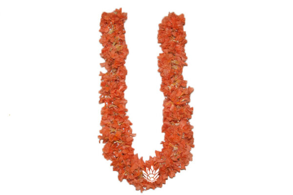 Crossandra (Kangabaram) String - 40cm