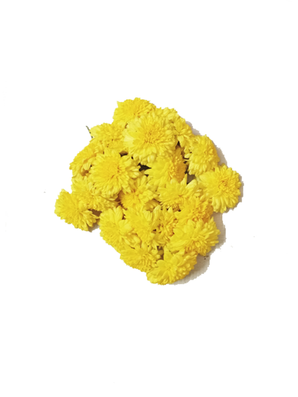 Yellow Chrysanthemum Flower - 100gm