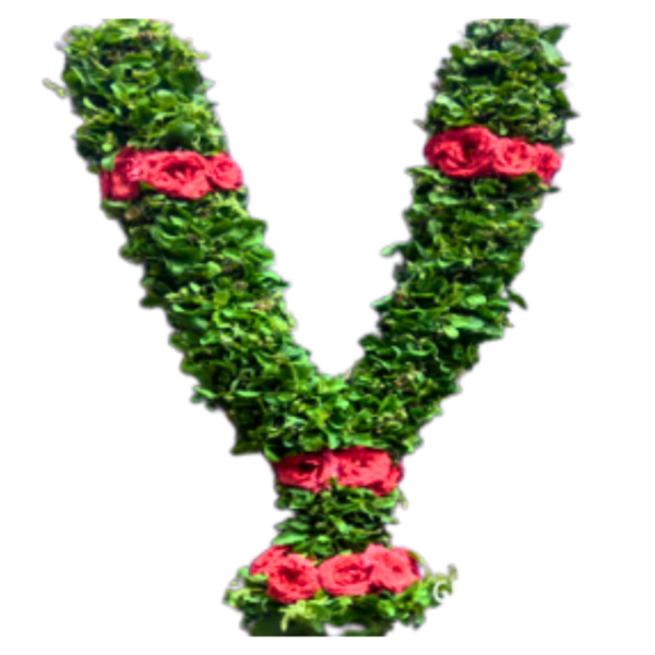 Tulsi Garland - 2ft