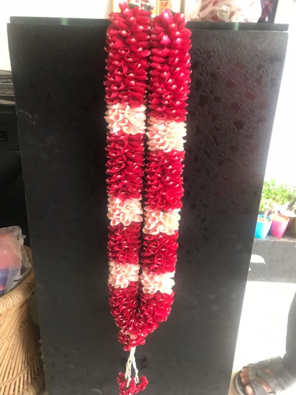 Red & Pink Rose Petal