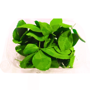 Bilva Loose Leaves - 15gms (21 Leaves)