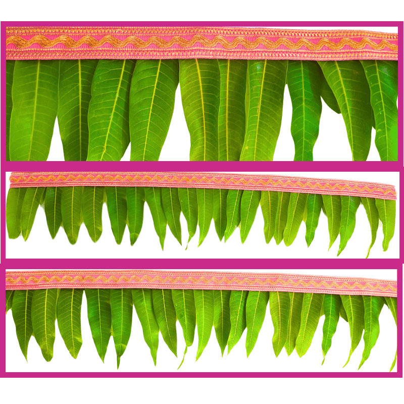 Mango Leaves with Pink Border String - 3ft