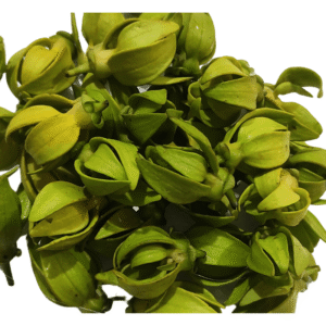 Manoranjitham Loose Flower - 250gms