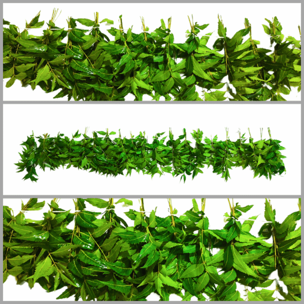 Pooja Flowers -Neem Leaves String - 3ft