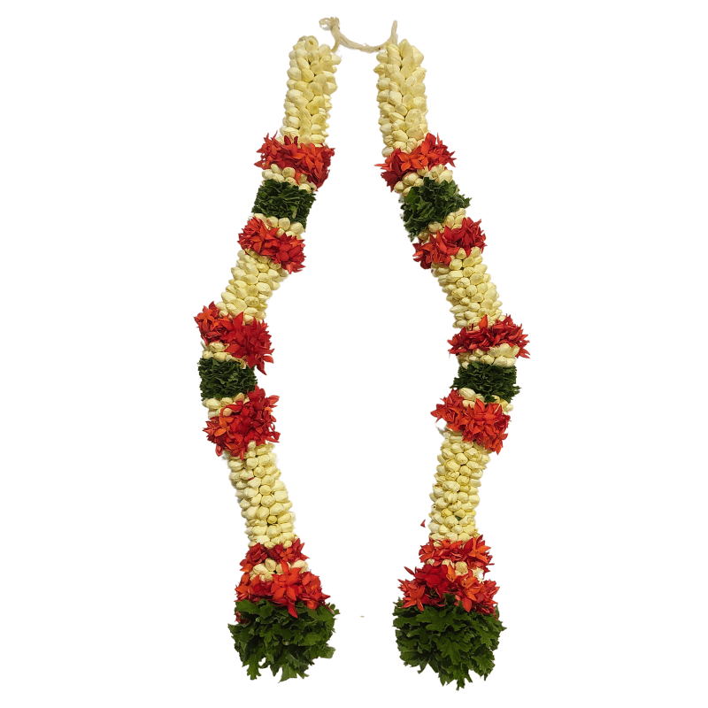 Jasmine Virichipoo Thomalai 1.5ft - GetFlowersDaily