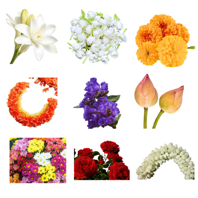 Seasonal Flowers of South India - GetFlowerDaily