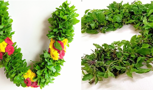 Shuddha Tulsi String - GetFlowerDaily