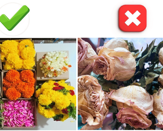 Do's And Don't Of Handling Fresh Pooja Flowers - GetFlowerDaily