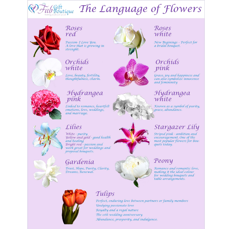 Spiritual Power and Symbolism of Each Flower - GetFlowerDaily