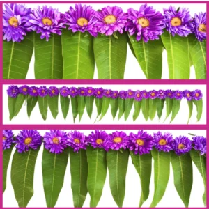 Mango Leaves With Aster Lavender String - 6ft
