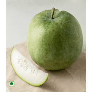 Ash Guard - 1 Piece - GetFlowerDaily