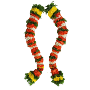 Jungle Geranium Thomala - 2ft - GetFlowerDaily