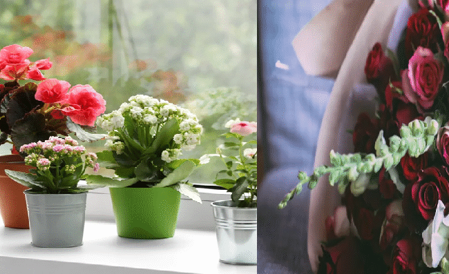 5 Simple Flower Arrangements to Brighten Up Your Living Space - GetFlowerDaily