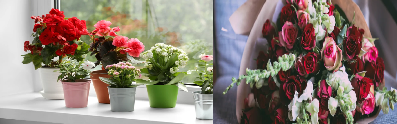 5 Simple Flower Arrangements to Brighten Up Your Living Space - GetFlowerDaily