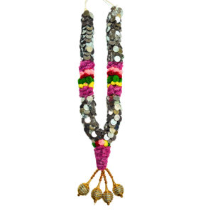 Coin Garland with Pink, Green, Yellow Border - 2.5ft - GetflowersDaily