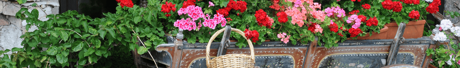 GetFlowersDaily - Banner