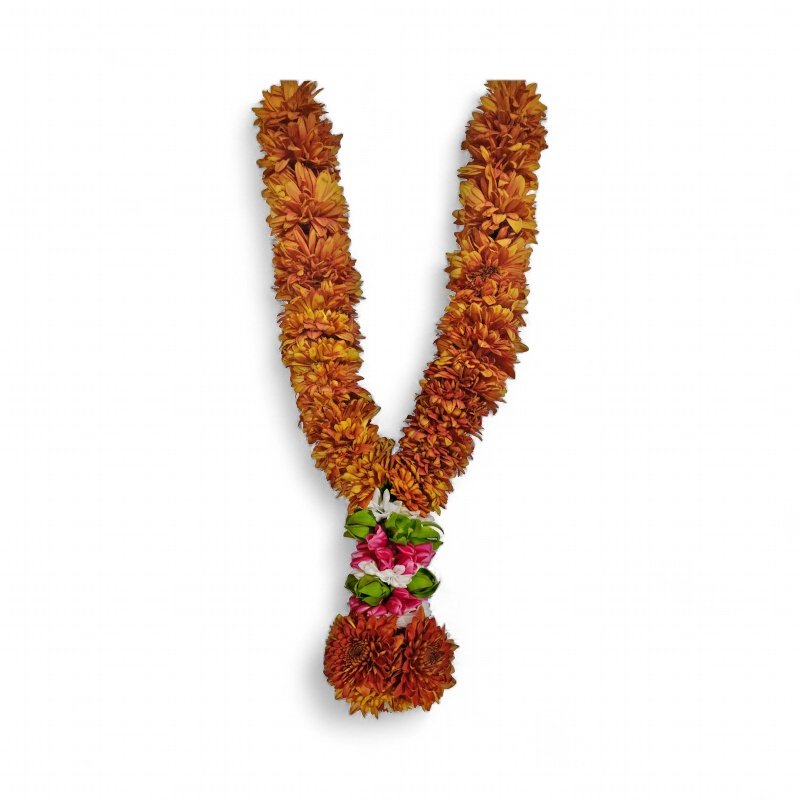 Chocolate Chrysanthemum with Manoranjitham, Oleand Chocolate Chrysanthemum with Manoranjitham, Oleand