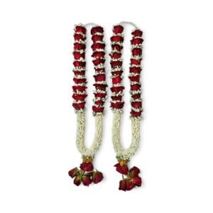 Nandhavanam Jasmine with Red Rose Bud & Gypsy (2.5