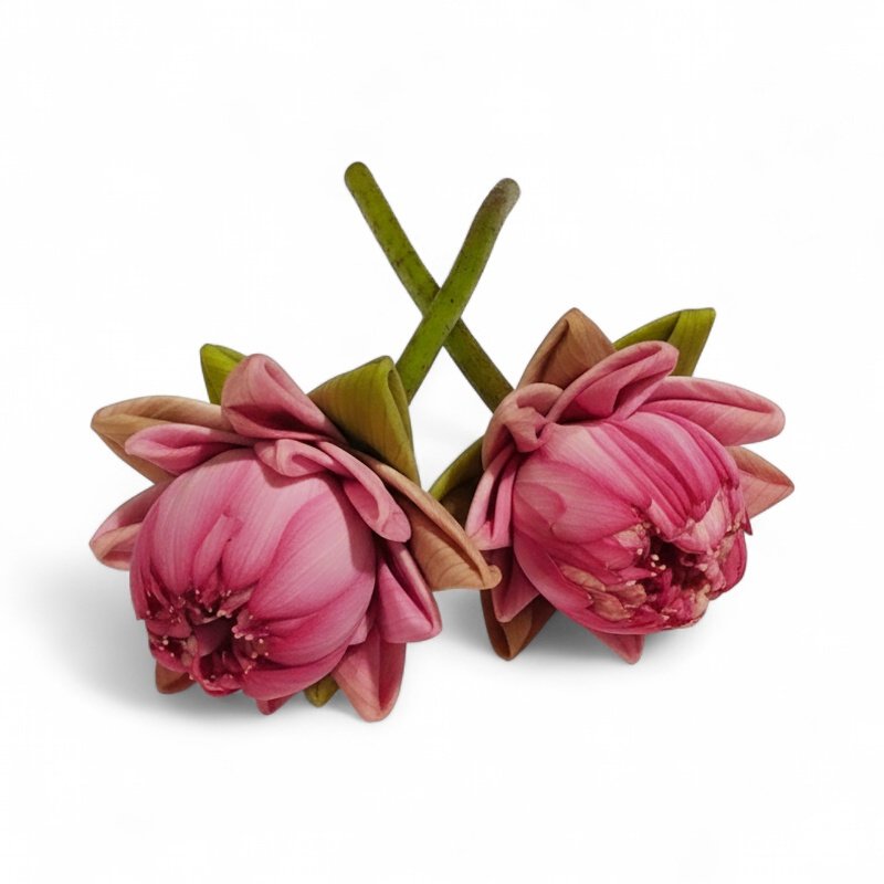 Folded Pink Lotus - 1 Pair Folded Pink Lotus - 1 Pair